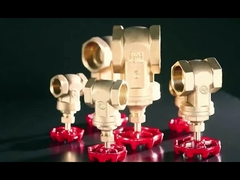 Cast Iron Handle 여성 X 여성 4 인치 청동 게이트 밸브